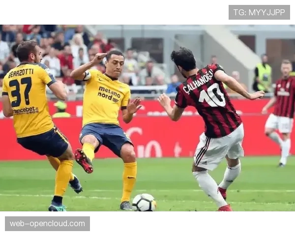 维罗纳1-0小胜莱切,凭借此胜成功逃离降级区 维罗纳1-0小胜莱切,凭借此胜成功逃离降级区